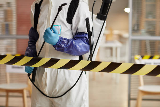 Professional Sewage Cleanup technician working in Dumont, NJ